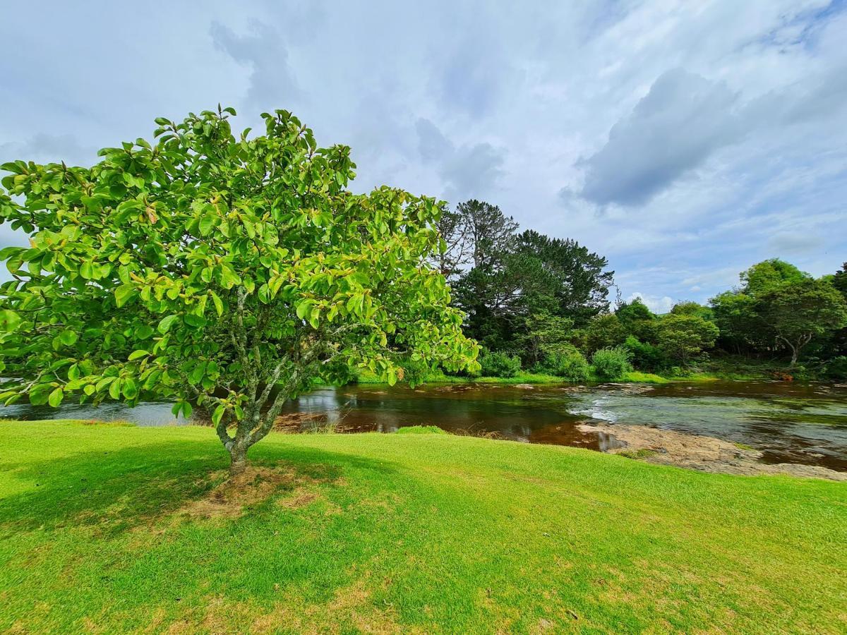 Te Awa Lodge Пейхія Екстер'єр фото